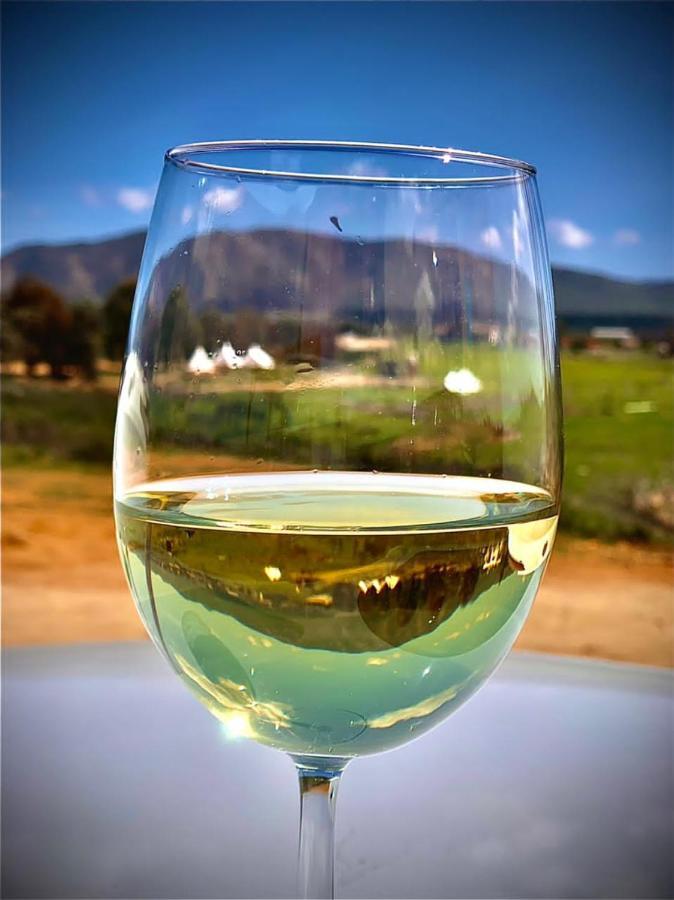 Lago Valle Wine Glamping Валье-де-Гуадалупе Экстерьер фото