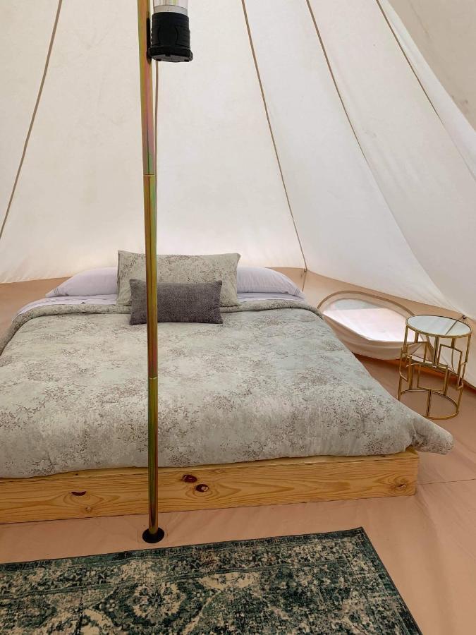 Lago Valle Wine Glamping Валье-де-Гуадалупе Экстерьер фото