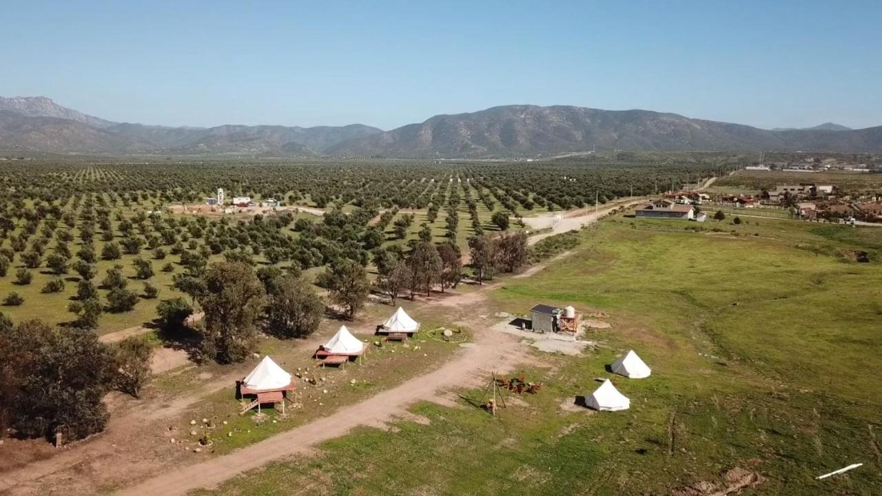 Lago Valle Wine Glamping Валье-де-Гуадалупе Экстерьер фото