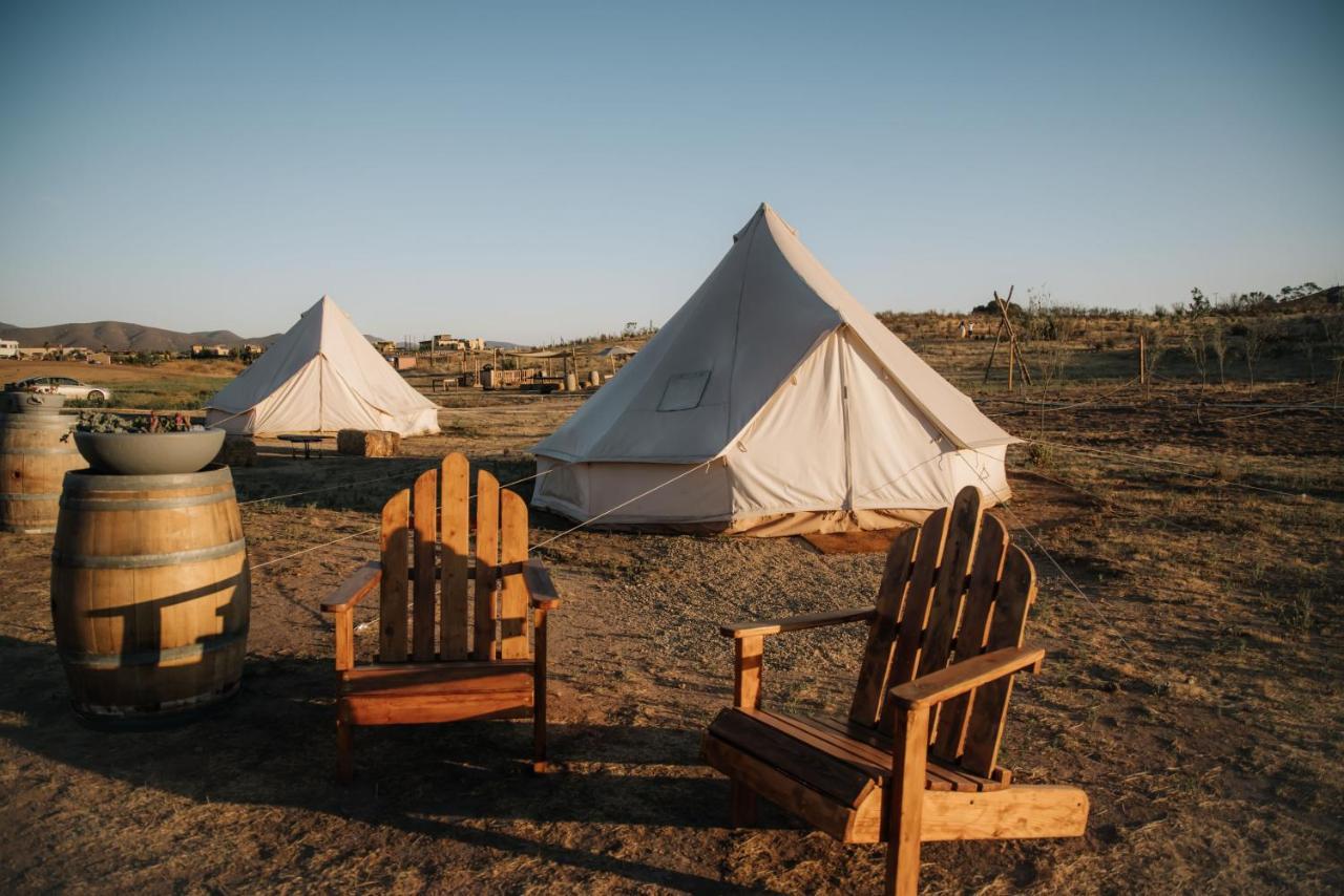 Lago Valle Wine Glamping Валье-де-Гуадалупе Экстерьер фото