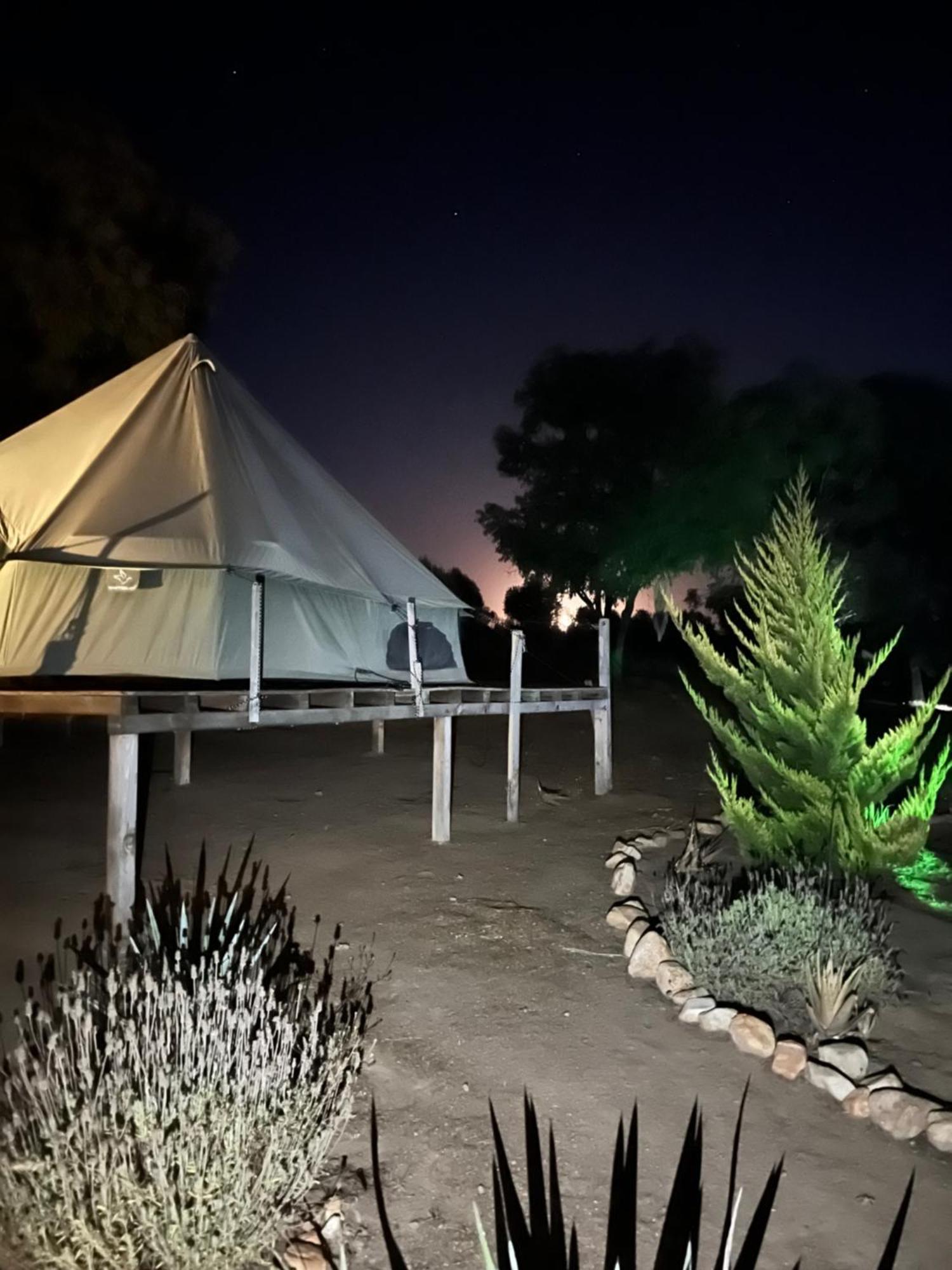 Lago Valle Wine Glamping Валье-де-Гуадалупе Экстерьер фото
